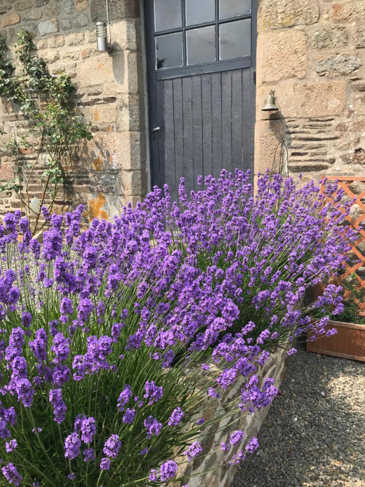 Ferme De Noyes Bed and Breakfast Sourdeval Buitenkant foto